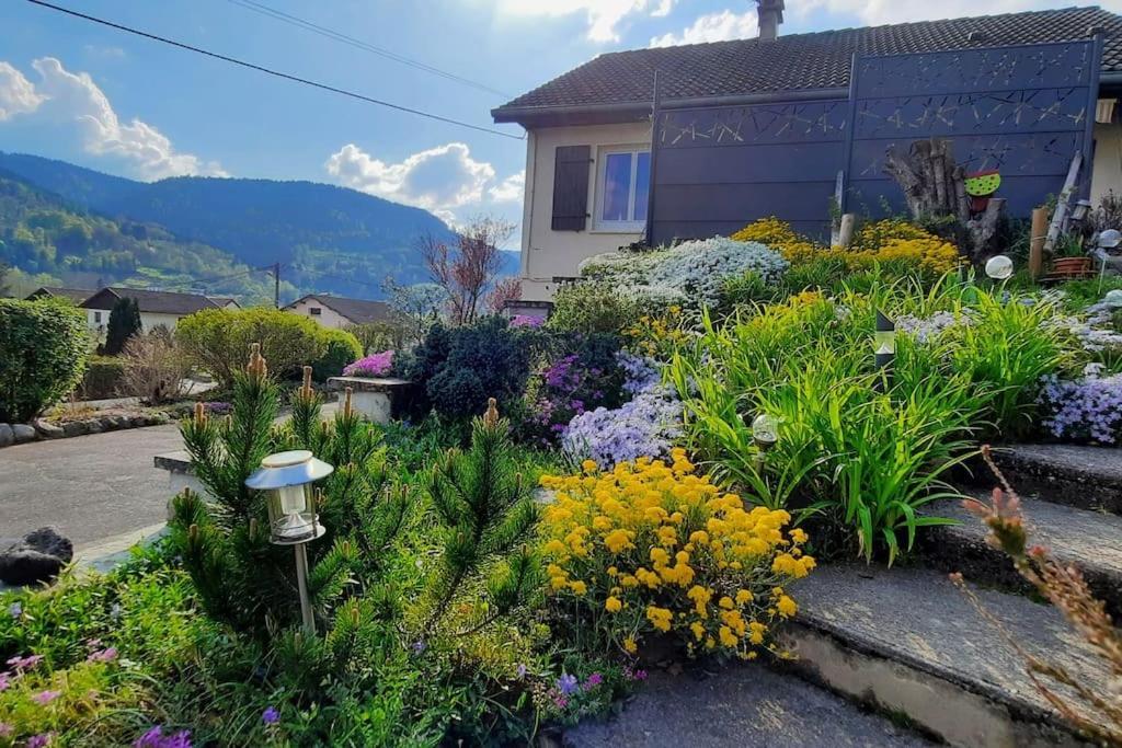 Plain-Pied Proche Base De Loisirs Et Voie Verte Saulxures-sur-Moselotte Exteriör bild
