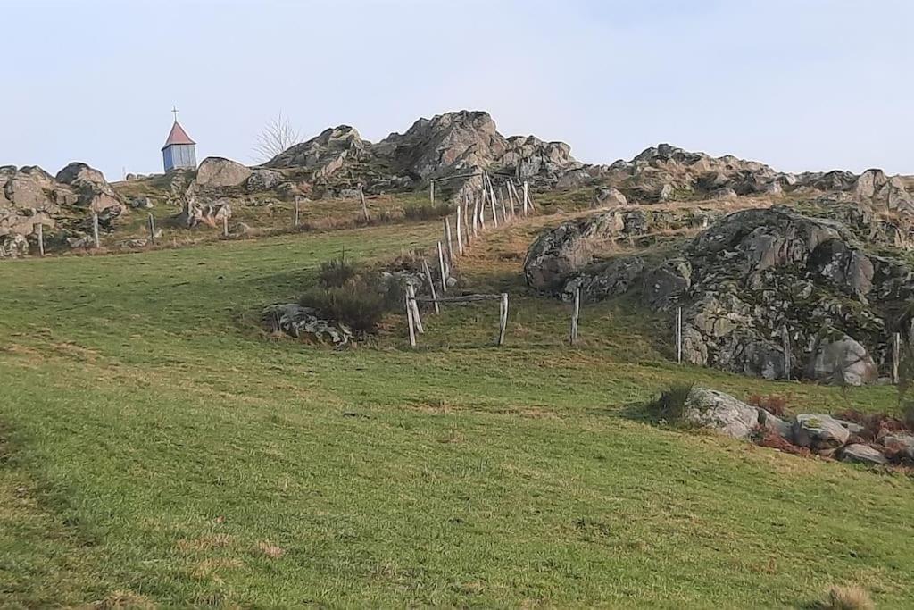 Plain-Pied Proche Base De Loisirs Et Voie Verte Saulxures-sur-Moselotte Exteriör bild