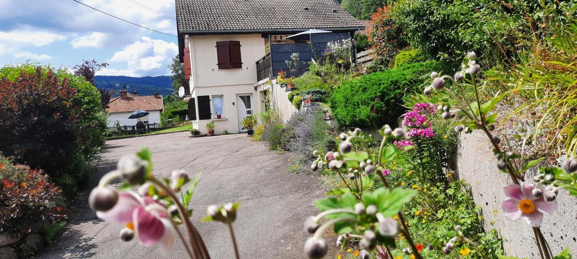 Plain-Pied Proche Base De Loisirs Et Voie Verte Saulxures-sur-Moselotte Exteriör bild